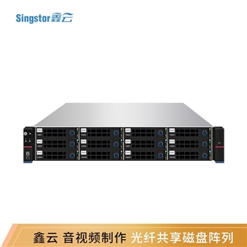 鑫云星储（SINGSTOR） 磁盘阵列 企业级NAS文件光纤共享网络存储SS300G-12A Pro