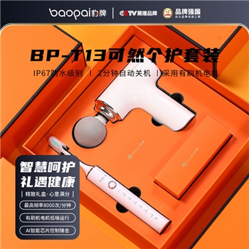 豹牌按摩器健康套装保温杯颈椎按摩仪电动牙刷筋膜枪充电宝组合母亲节礼品送爸妈老婆男女朋友生日礼物 BP-T13电动牙刷+筋膜枪